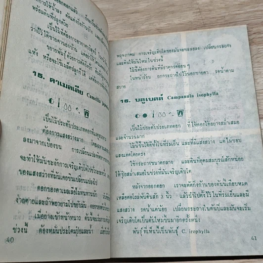 หนังสือ พันธุ์ไม้ในบ้านและการประดับตกแต่ง ชุด 4 รูปที่ 8