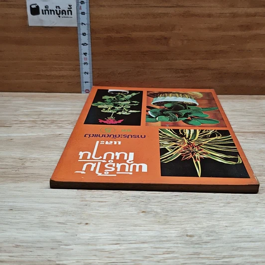 หนังสือ พันธุ์ไม้ในบ้านและการประดับตกแต่ง ชุด 5 รูปที่ 5