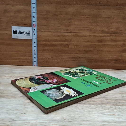 หนังสือ พันธุ์ไม้ในบ้านและการประดับตกแต่ง ชุด 6 รูปที่ 4