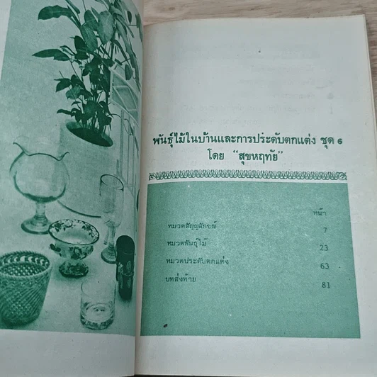 หนังสือ พันธุ์ไม้ในบ้านและการประดับตกแต่ง ชุด 6 รูปที่ 6