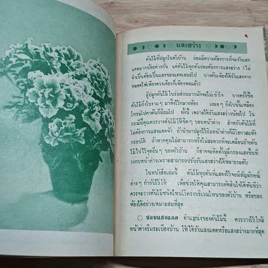 หนังสือ พันธุ์ไม้ในบ้านและการประดับตกแต่ง ชุด 6 รูปที่ 7