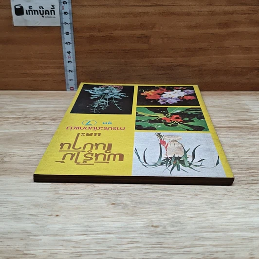 หนังสือ พันธฺุ์ไม้ในบ้านและการประดับตกแต่ง ชุด 7 รูปที่ 5