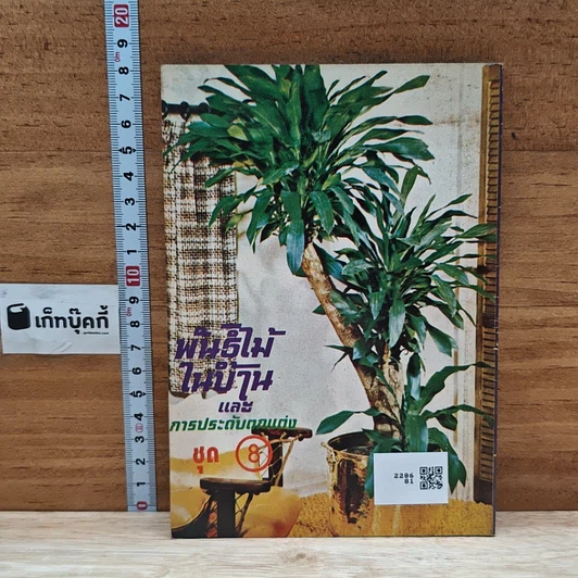 พันธุ์ไม้ในบ้านและการประดับตกแต่ง ชุด 8 รูปที่ 2