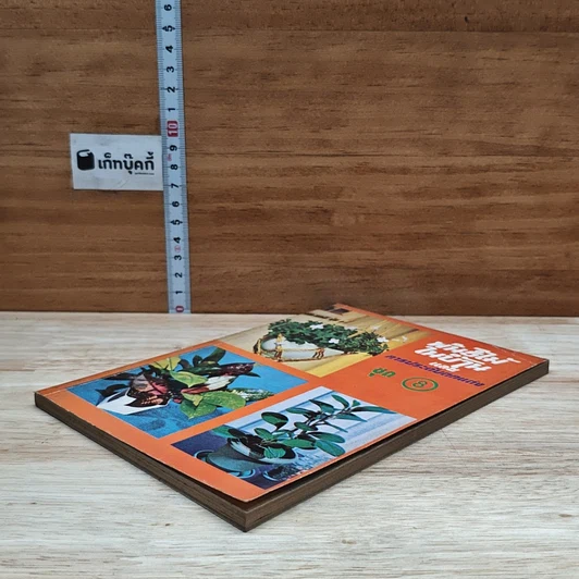 พันธุ์ไม้ในบ้านและการประดับตกแต่ง ชุด 8 รูปที่ 4