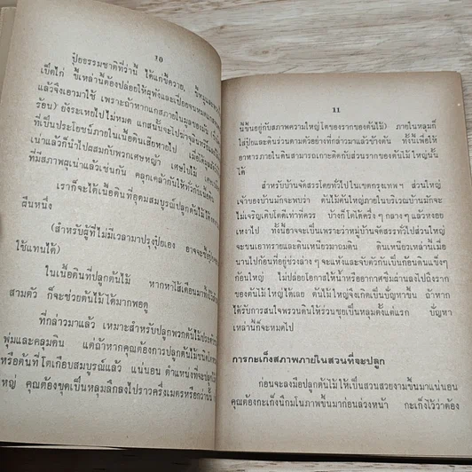 พันธุ์ไม้รอบบ้านและการจัดสวน รูปที่ 7