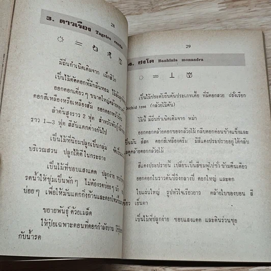 พันธุ์ไม้รอบบ้านและการจัดสวน ชุด 2 รูปที่ 7