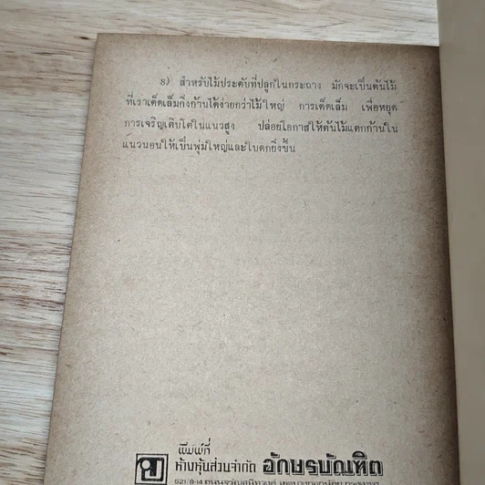 พันธุ์ไม้รอบบ้านและการจัดสวน ชุด 3 รูปที่ 8