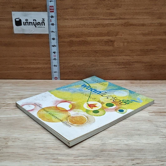 ฝนตกไม่ต้อง รูปที่ 4