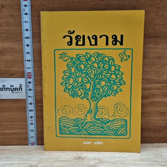 วัยงาม รูปที่ 1