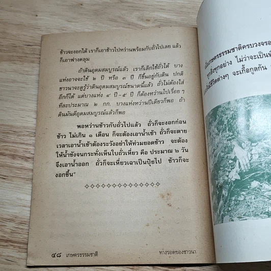 เกษตรธรรมชาติ ทางรอดของชาวนา รูปที่ 7