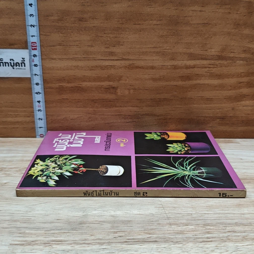 หนังสือ พันธฺุ์ไม้ในบ้านและการประดับตกแต่ง ชุด 2 รูปที่ 3