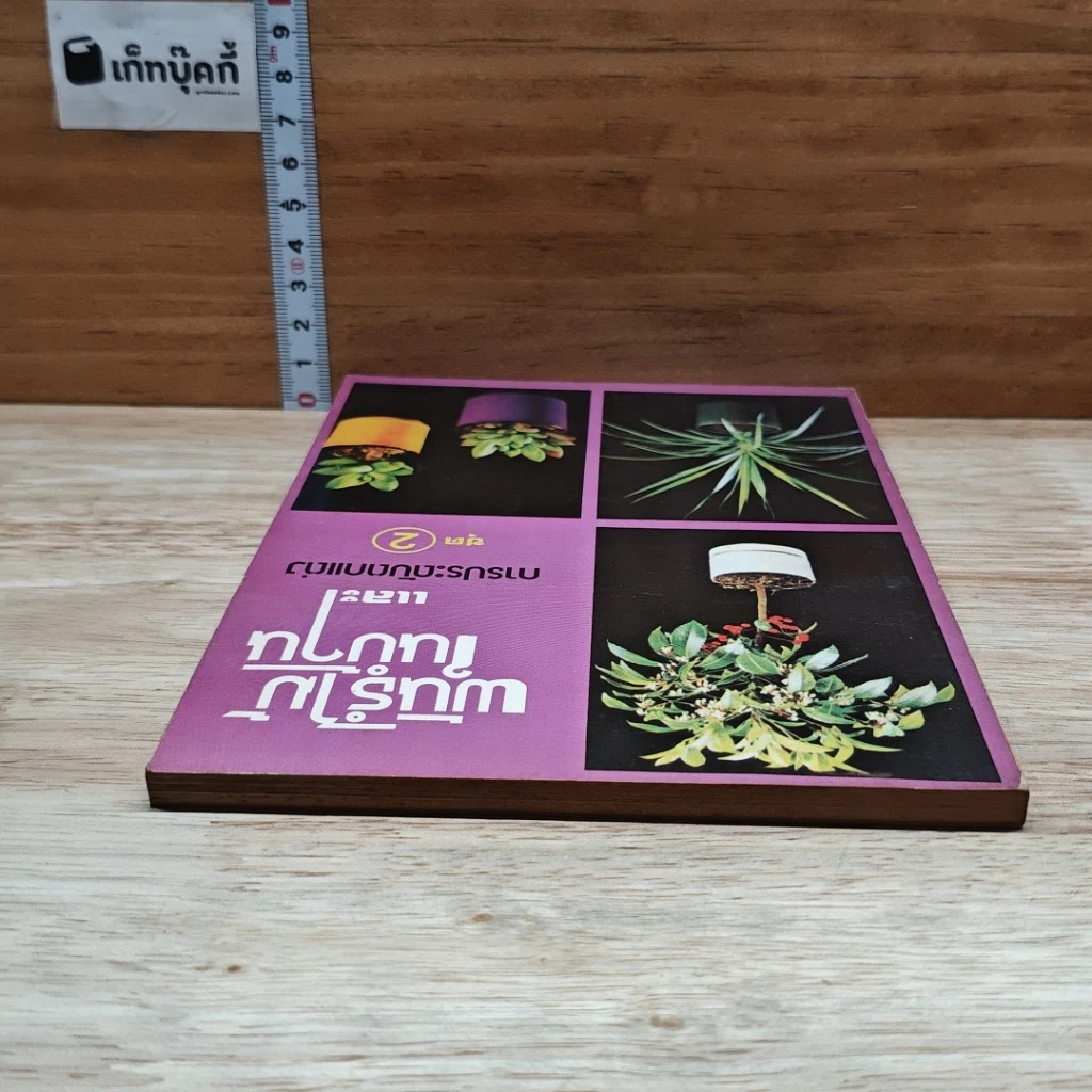 หนังสือ พันธฺุ์ไม้ในบ้านและการประดับตกแต่ง ชุด 2 รูปที่ 5