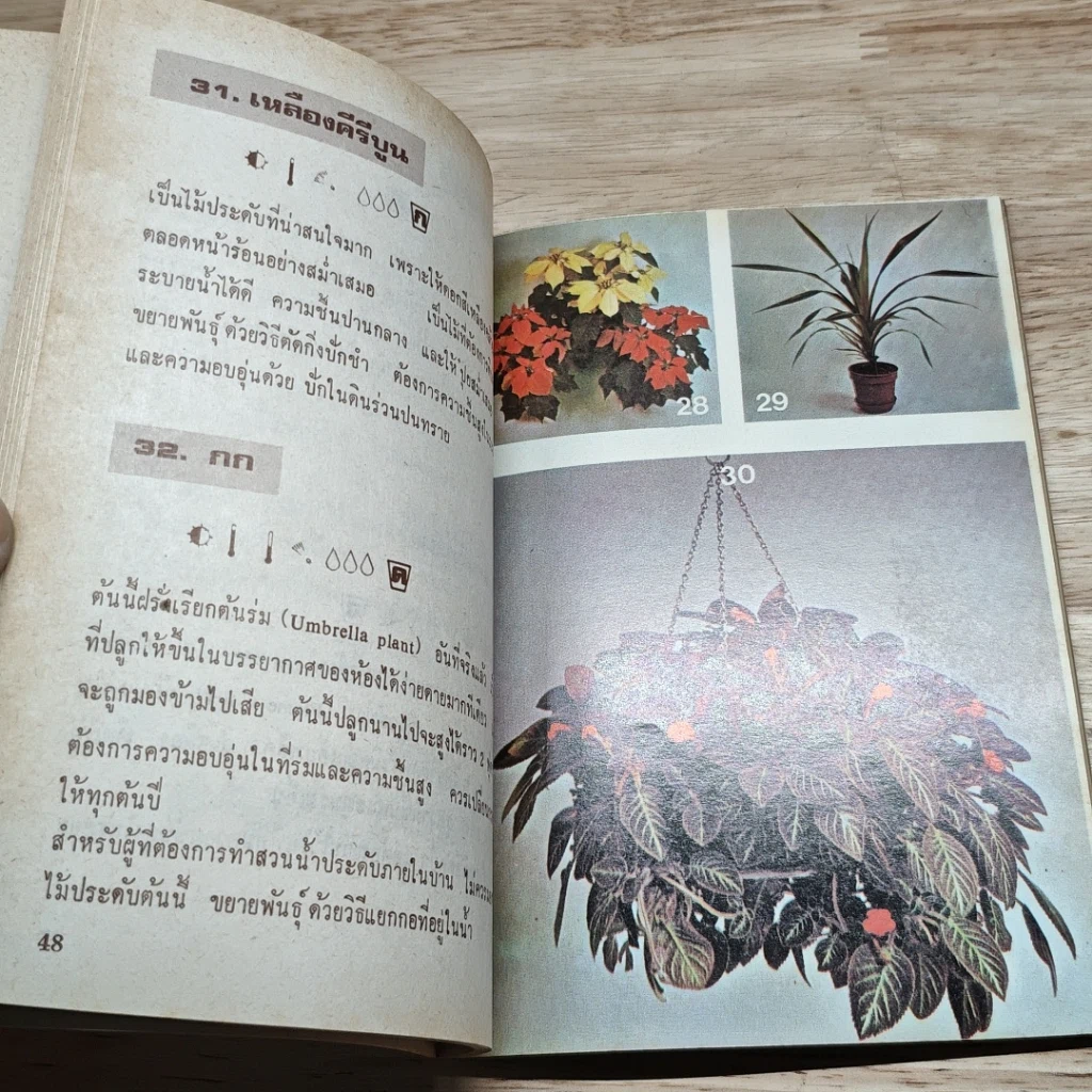 หนังสือ พันธุ์ไม้ในบ้านและการประดับตกแต่ง ชุด 3 รูปที่ 7