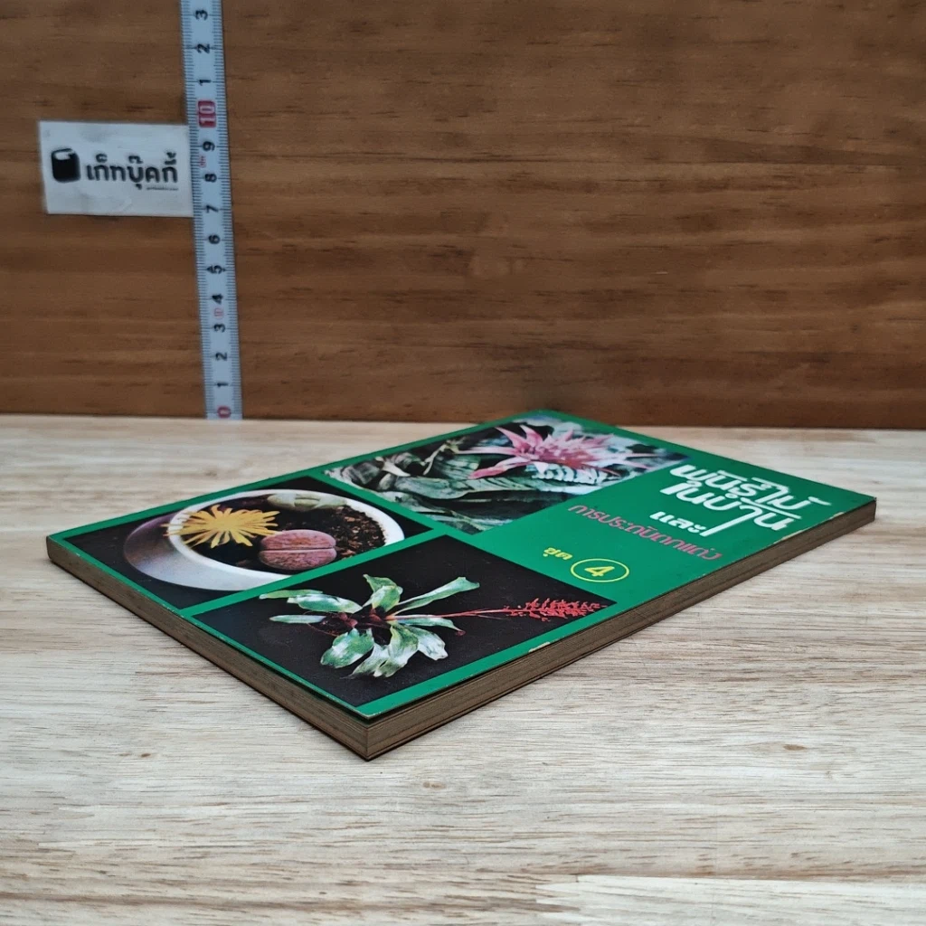 หนังสือ พันธุ์ไม้ในบ้านและการประดับตกแต่ง ชุด 4 รูปที่ 4