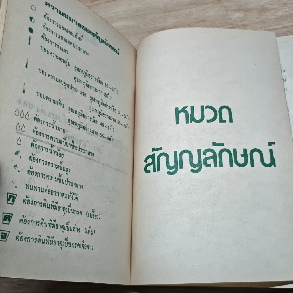 หนังสือ พันธุ์ไม้ในบ้านและการประดับตกแต่ง ชุด 4 รูปที่ 7