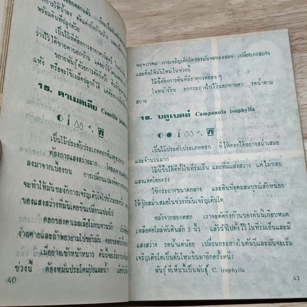 หนังสือ พันธุ์ไม้ในบ้านและการประดับตกแต่ง ชุด 4 รูปที่ 8