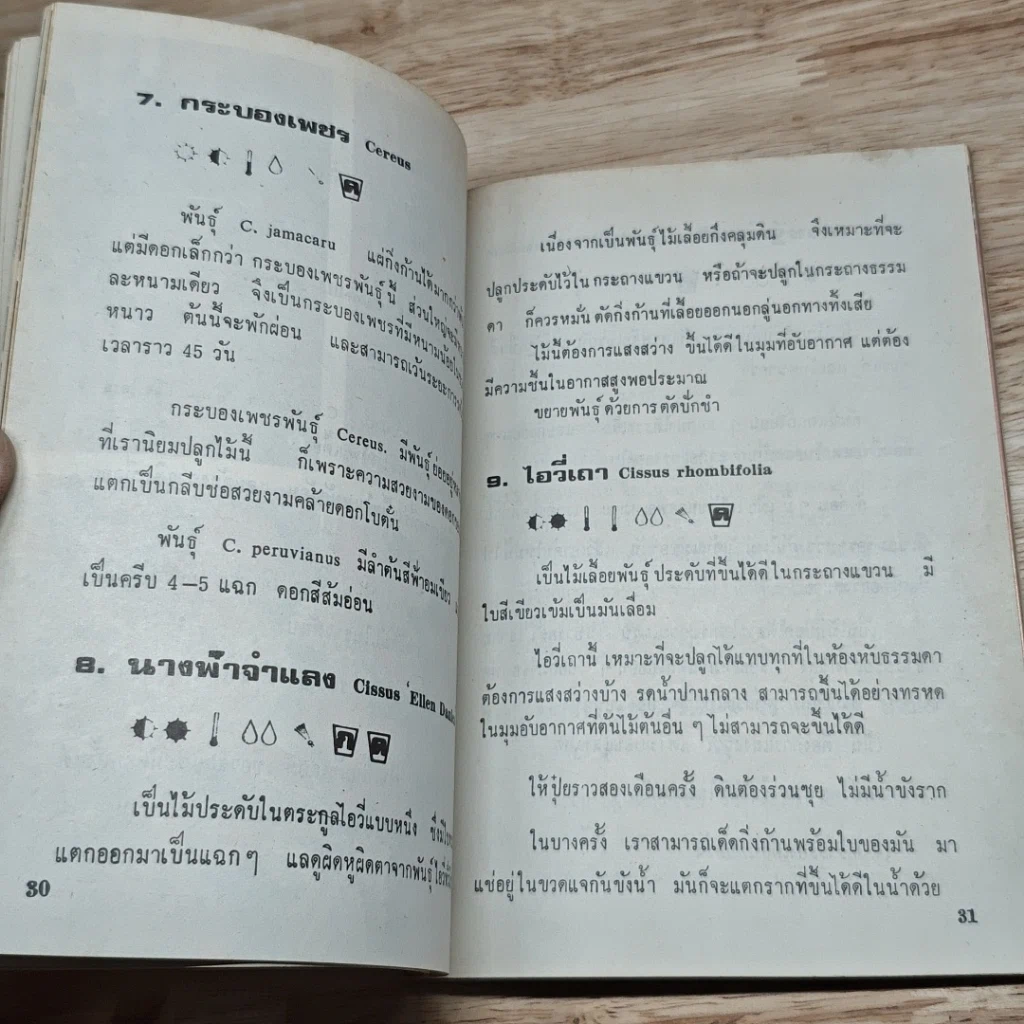 หนังสือ พันธุ์ไม้ในบ้านและการประดับตกแต่ง ชุด 5 รูปที่ 7
