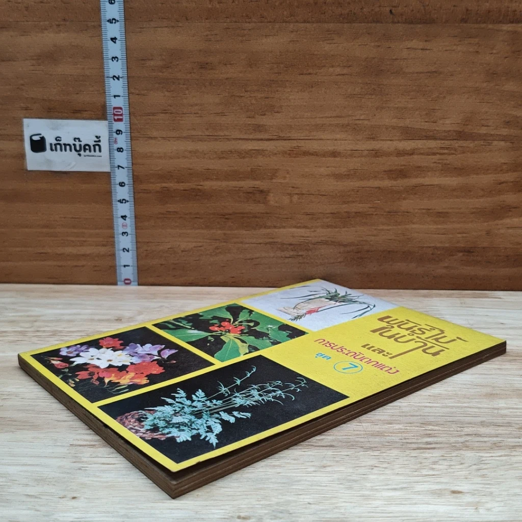 หนังสือ พันธฺุ์ไม้ในบ้านและการประดับตกแต่ง ชุด 7 รูปที่ 4