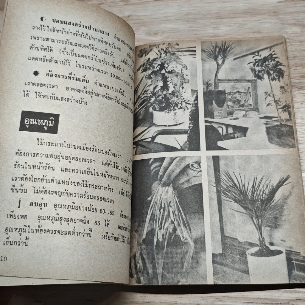 หนังสือ พันธฺุ์ไม้ในบ้านและการประดับตกแต่ง ชุด 7 รูปที่ 7