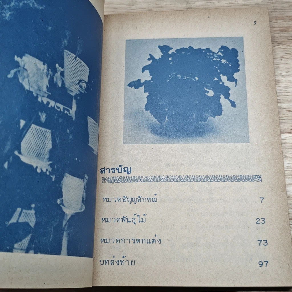 พันธุ์ไม้ในบ้านและการประดับตกแต่ง ชุด 8 รูปที่ 6