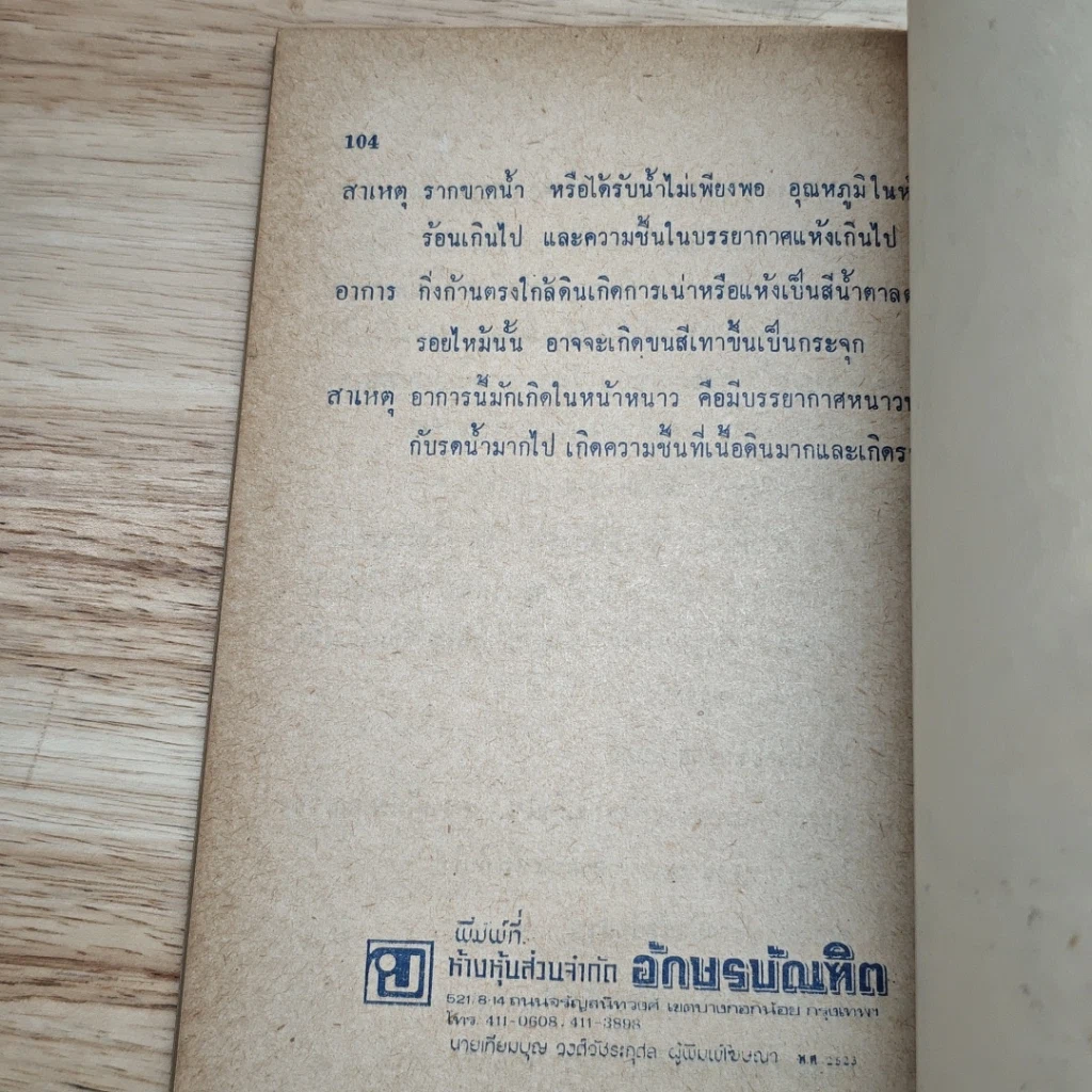 พันธุ์ไม้ในบ้านและการประดับตกแต่ง ชุด 8 รูปที่ 8