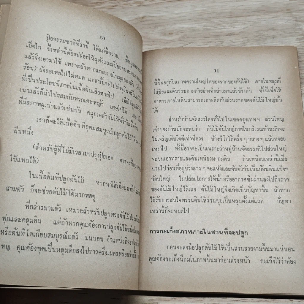 พันธุ์ไม้รอบบ้านและการจัดสวน รูปที่ 7