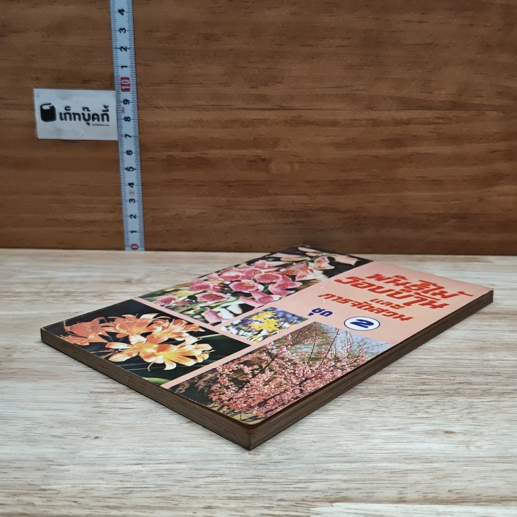 พันธุ์ไม้รอบบ้านและการจัดสวน ชุด 2 รูปที่ 4