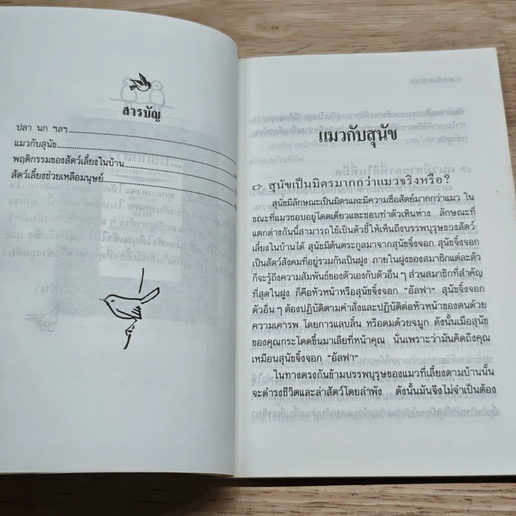 สารพันคำถามกับสัตว์เลี้ยงแสนรัก รูปที่ 6
