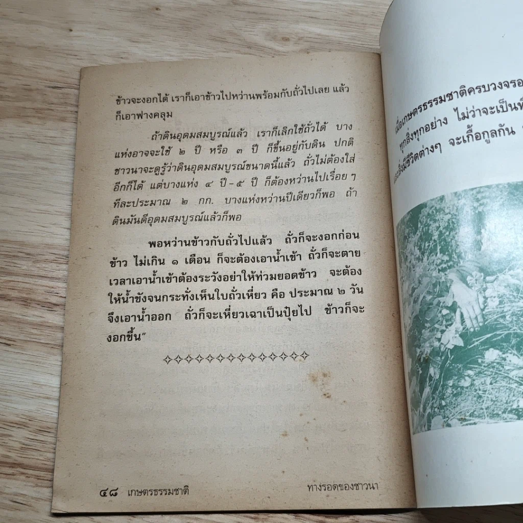 เกษตรธรรมชาติ ทางรอดของชาวนา รูปที่ 7