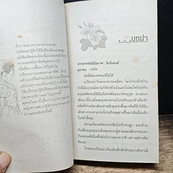 นิยายโรมานซ์ เจ้าหญิง รูปที่ 7