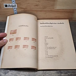 หนังสือ ห้องเรียนที่เงียบที่สุดในโลก รูปที่ 7