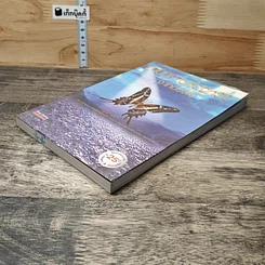 หนังสือ แทนความห่วงหวงจากดวงใจ รูปที่ 3