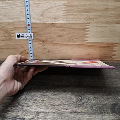 หนังสือ ทุจริตในองค์กร รูปที่ 2