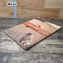 หนังสือ Robinson Crusoe โรบินสัน ครูโซผจญภัยบนเกาะร้าง รูปที่ 3