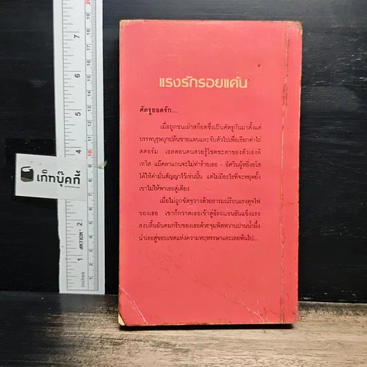 นิยายโรมานซ์ แรงรักรอยแค้น รูปที่ 2