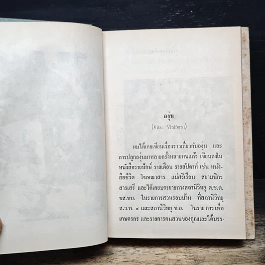 คู่มือปลูกผักและผลไม้เมืองไทย รูปที่ 10
