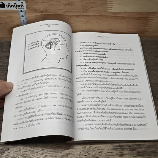 เรื่องของภูมิชีวิต รูปที่ 9