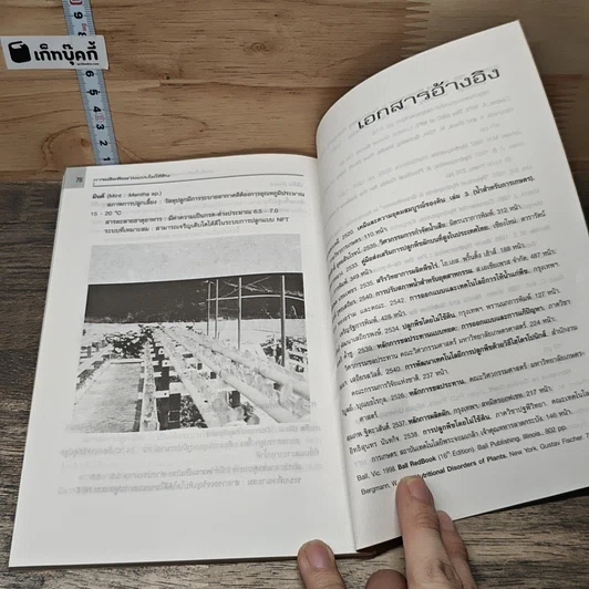 หนังสือ การผลิตพืชสวนแบบไม่ใช้ดิน รูปที่ 8
