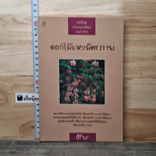 ดอกไม้แห่งมิตรภาพ รูปที่ 1