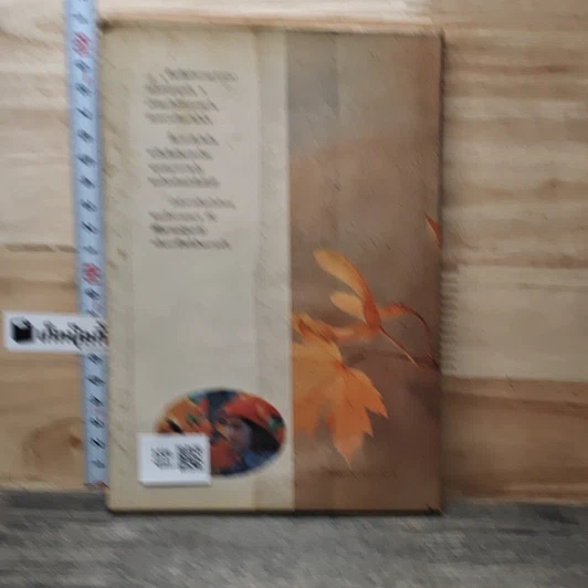 หนังสือ ใบไม้ที่หายไป รูปที่ 5