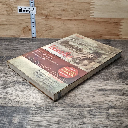 หนังสือ ไล่ตงจิ้น ลูกขอทาน ผู้ไม่ยอมแพ้ต่อชะตาชีวิต รูปที่ 3