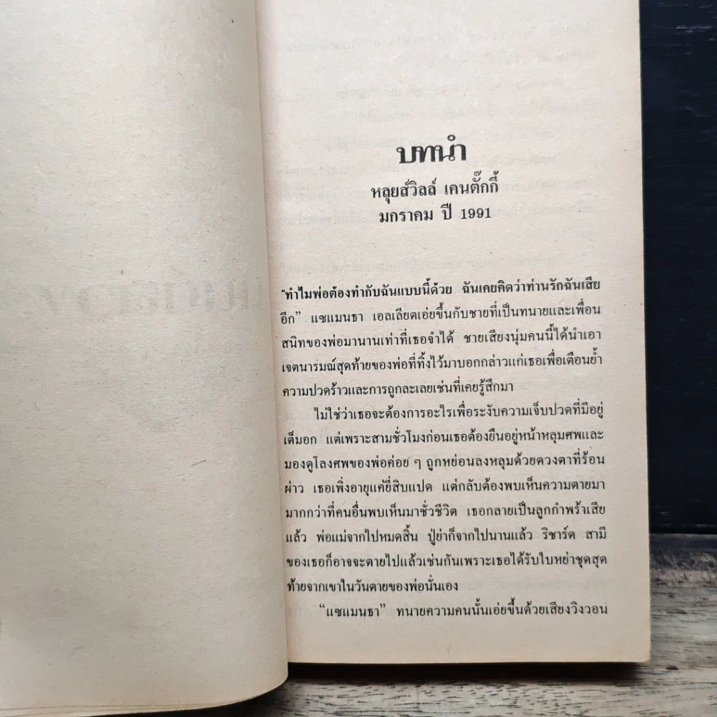 นิยายโรมานซ์ มนต์ลวง รูปที่ 6