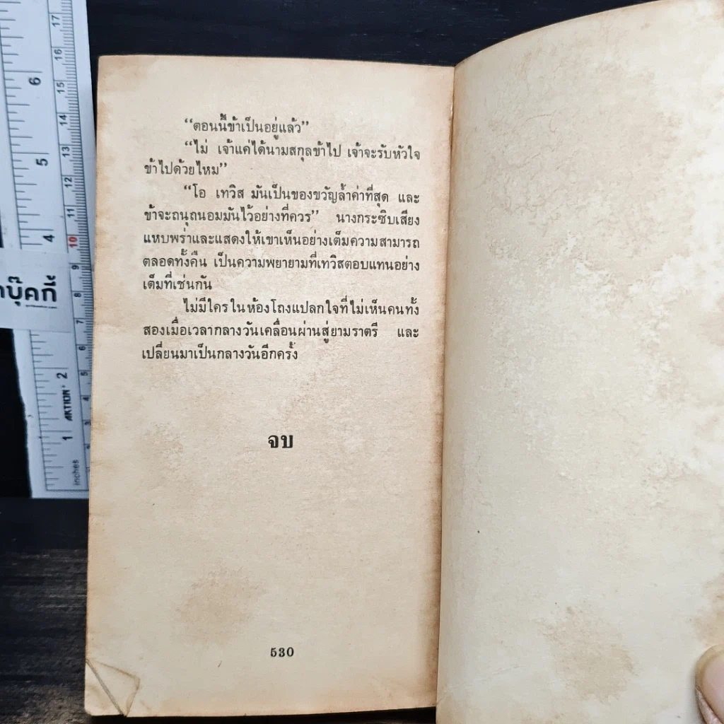นิยายโรมานซ์ แรงรักรอยแค้น รูปที่ 8