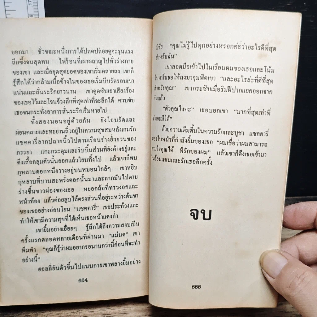 นิยายโรมานซ์ ฝันนั้นคือเธอ รูปที่ 8