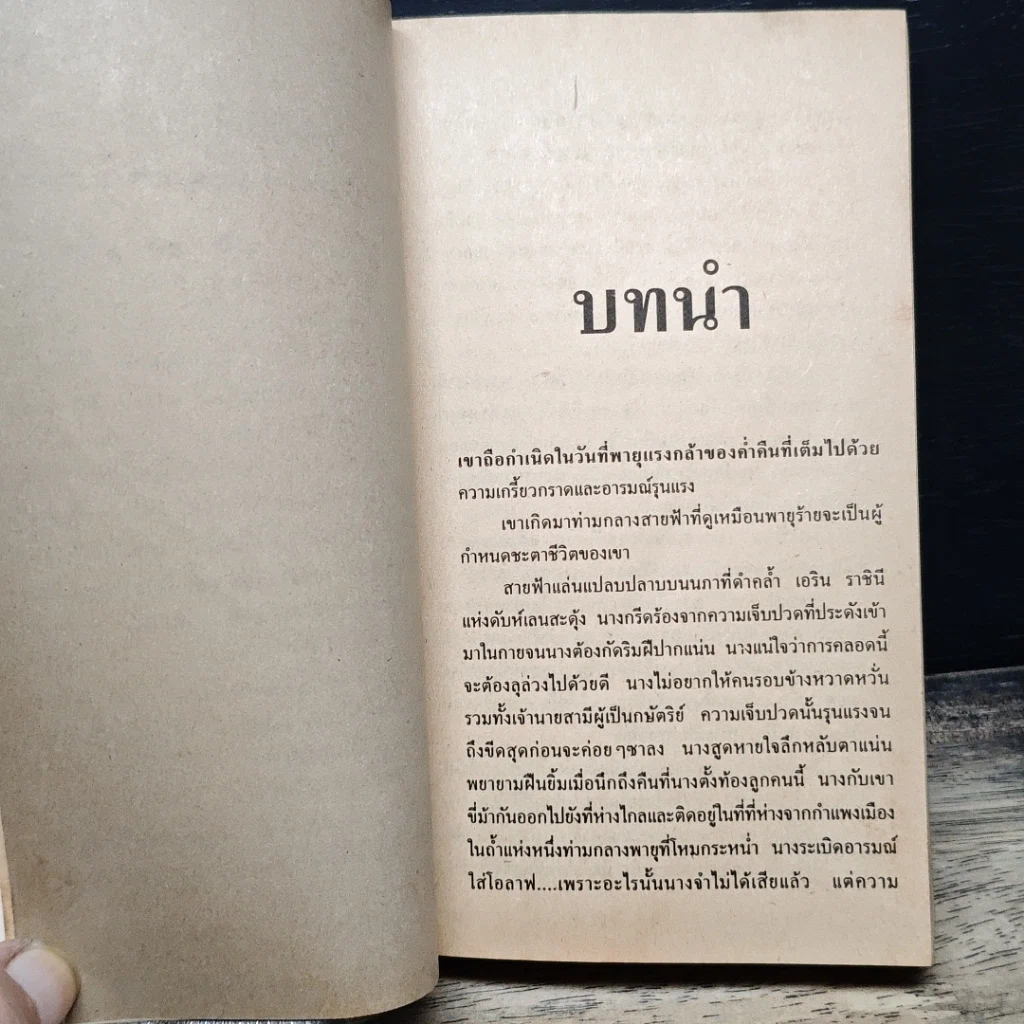 นิยายโรมานซ์ หวานใจไวกิ้ง รูปที่ 8