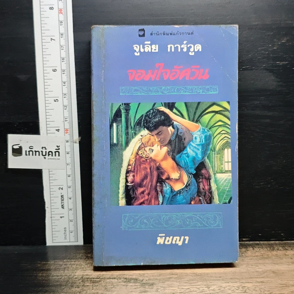 นิยายโรมานซ์ จอมใจอัศวิน รูปที่ 1