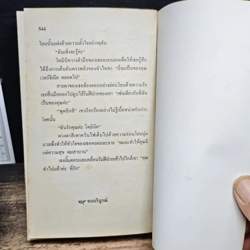 นิยายโรมานซ์ นางบำเรอหัวใจ รูปที่ 9