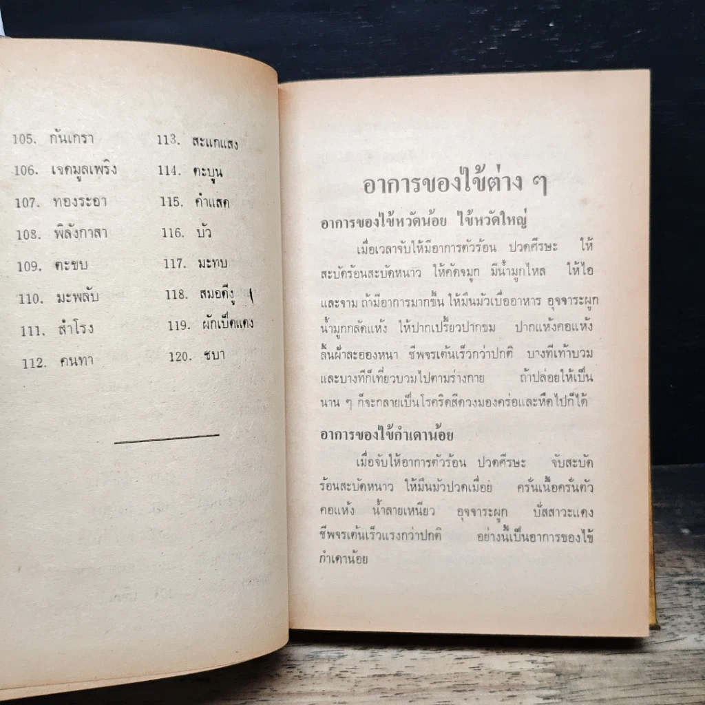 ต่ารายา แพทย์แผนโบราณ รูปที่ 15