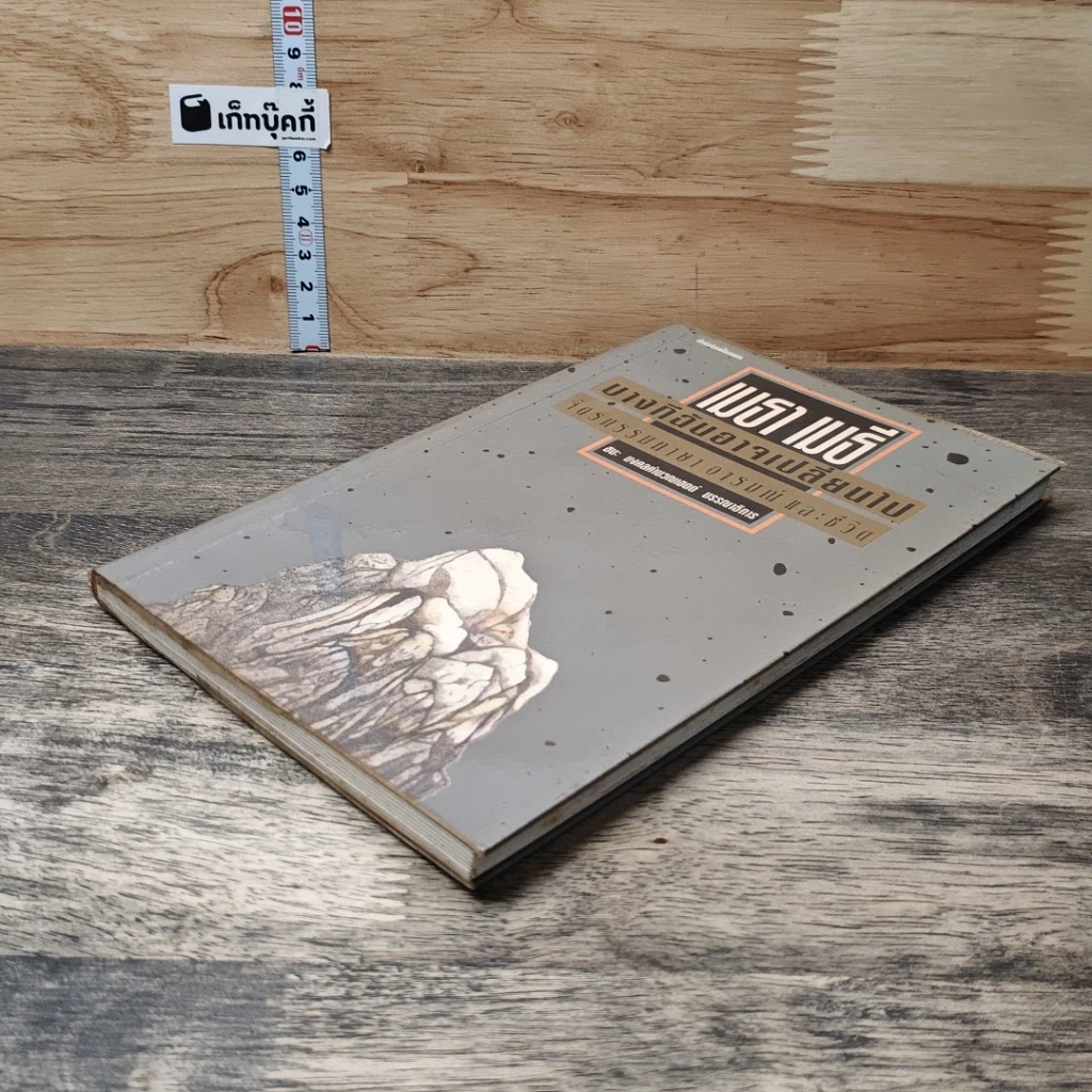 หนังสือ บางทีฉันอาจเปลี่ยนไป จิตรกรรมภาษา อารมณ์ และชีวิต รูปที่ 3
