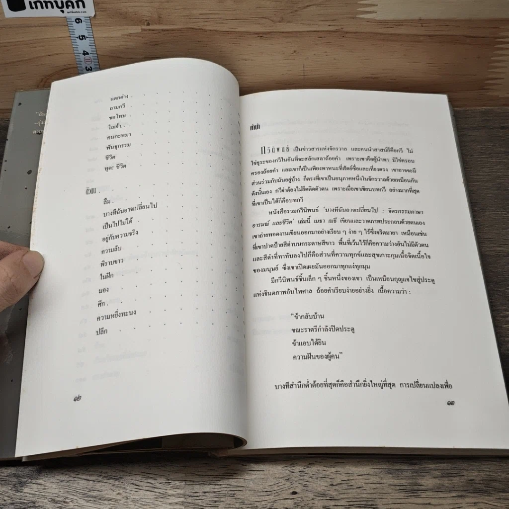 หนังสือ บางทีฉันอาจเปลี่ยนไป จิตรกรรมภาษา อารมณ์ และชีวิต รูปที่ 7